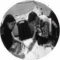 Ms. Shabeena Shaikh Ms. Shabeena Shaikh